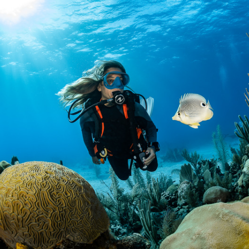 Scuba Diving Essentials