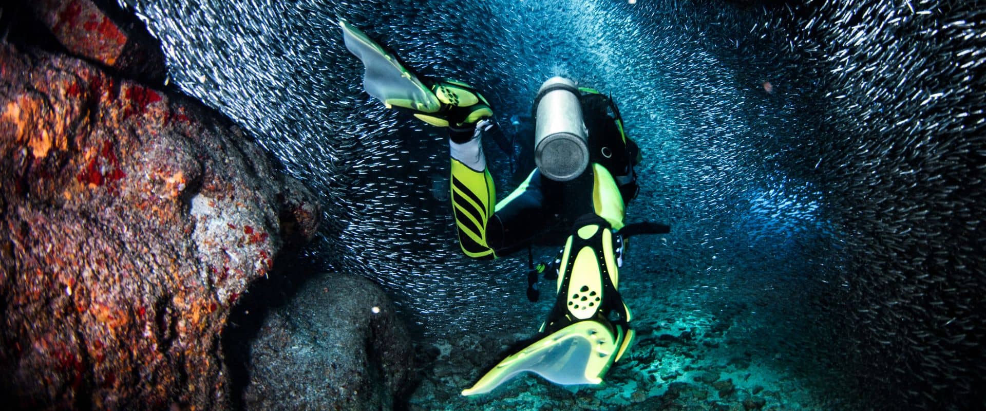 Scuba-Fins-by-Oyster-diving
