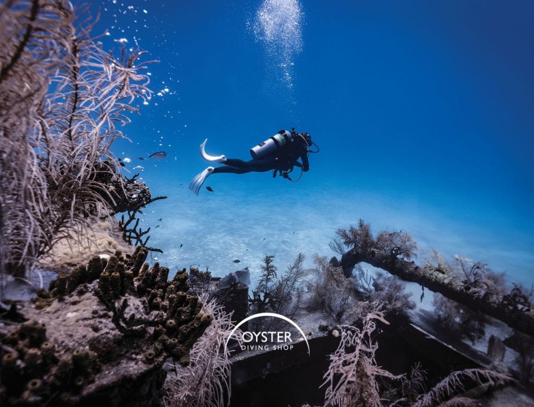 Garmin_Descent_MK3_Series_-_Oyster_Diving