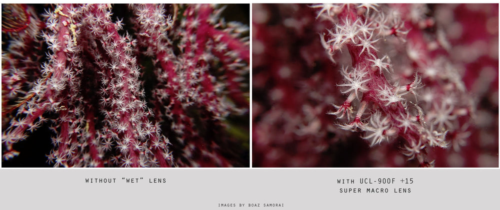 Fantasea Fantasea UCL-900F +15 Super Macro Lens by Oyster Diving Shop