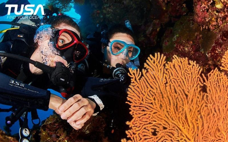 The Ultimate Guide to Selecting a Scuba Diving Mask