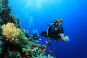 A vibrant coral reef teeming with colorful fish and marine life in clear tropical waters.