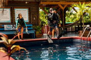 Try Your New Dive Gear In Our Pool For FREE