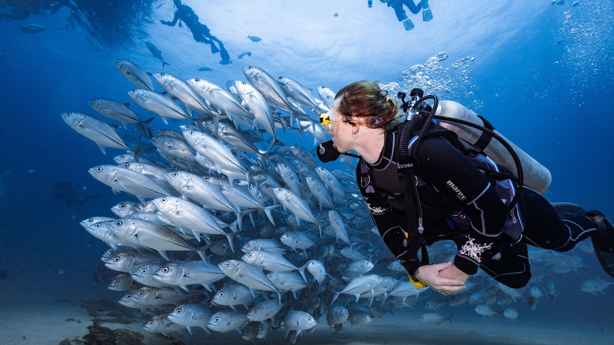 Scuba diving equipment from Oyster Diving