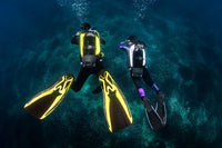 Aqualung Aqualung Rogue BCD - Oyster Diving