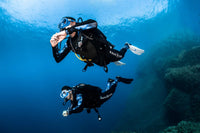 Aqualung Aqualung Rogue BCD - Oyster Diving