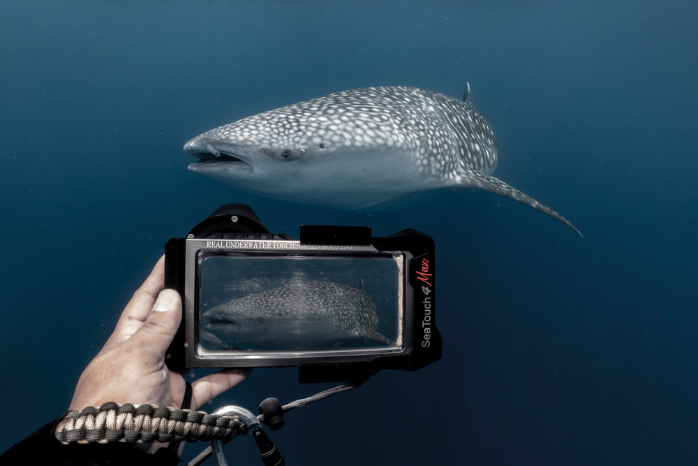 Divevolk Divevolk SeaTouch 4 Max Plus Black Underwater Touchscreen Phone Housing - Oyster Diving