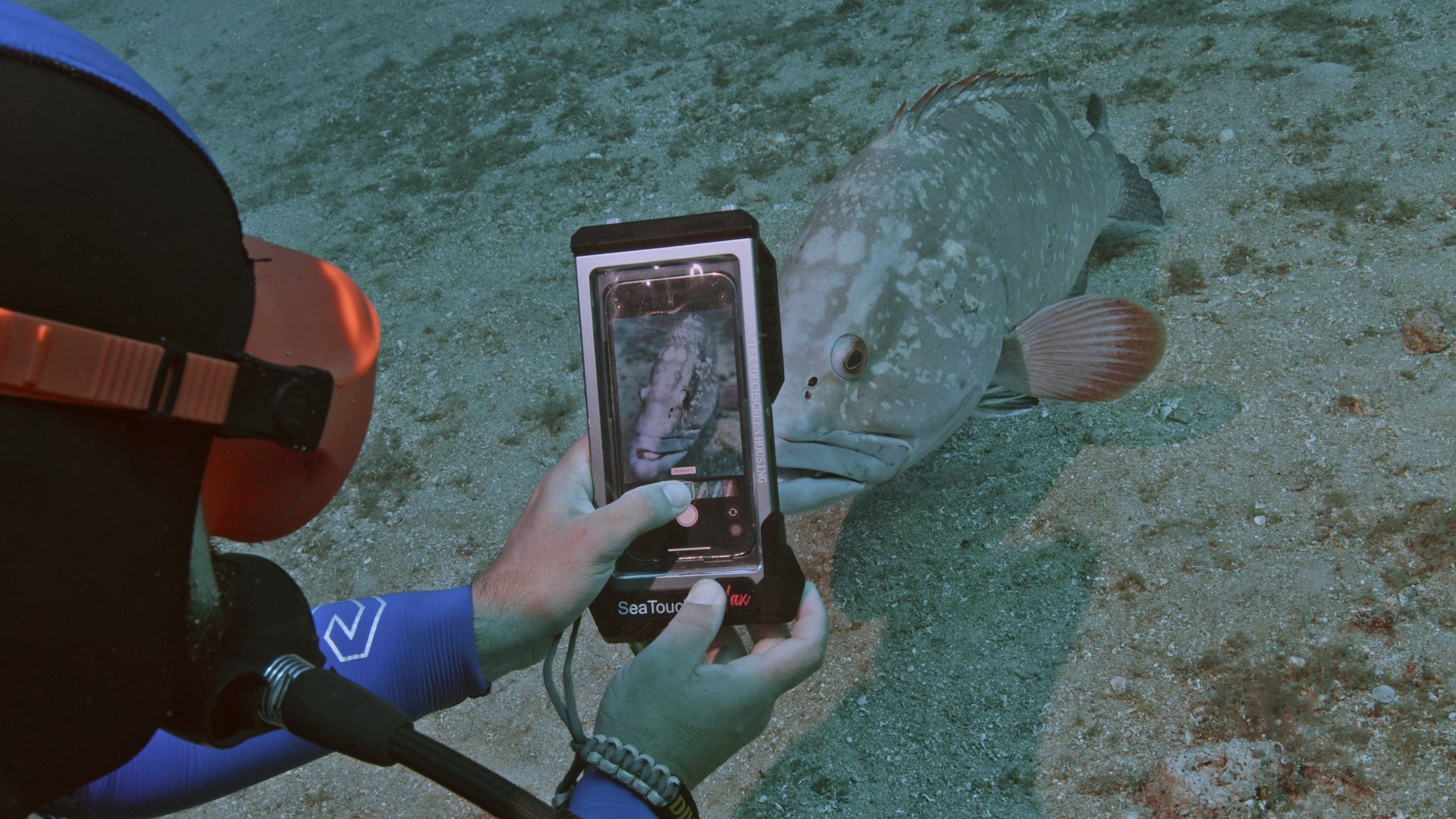 Divevolk Divevolk SeaTouch 4 Max Plus Black Underwater Touchscreen Phone Housing - Oyster Diving