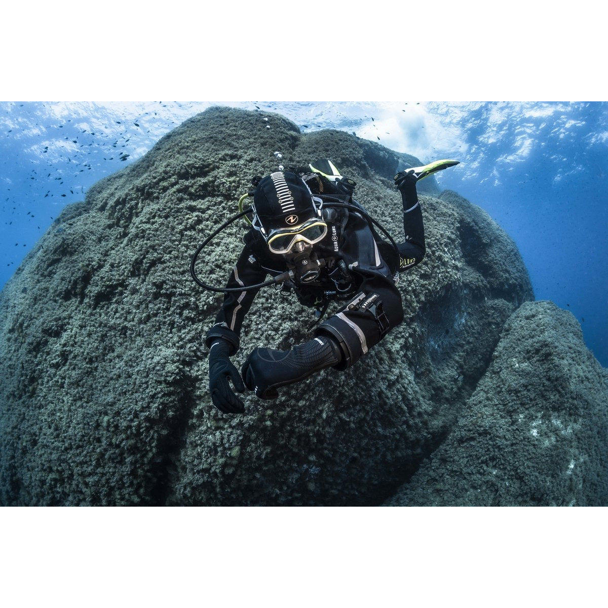 Blizzard Pro 4mm Drysuit - Men's - Oyster Diving Equipment