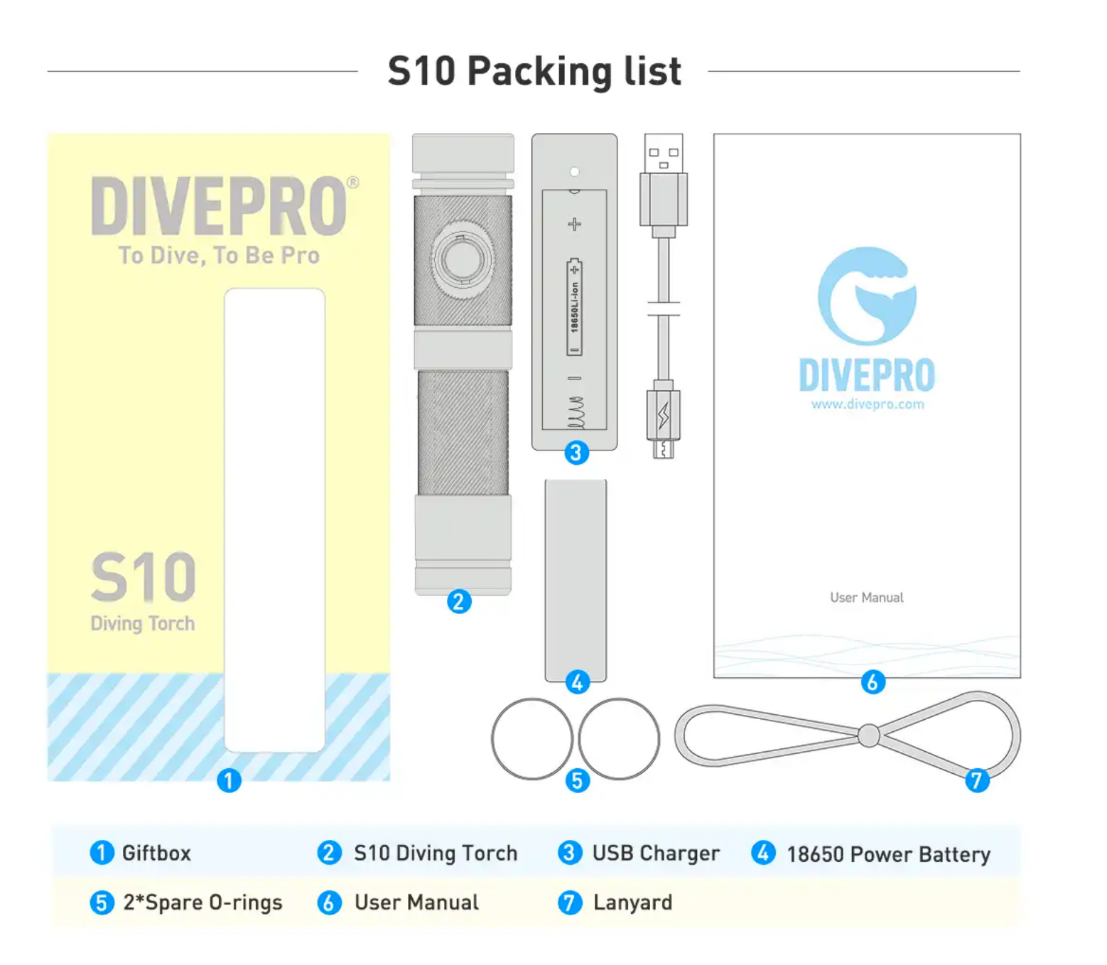 Divepro Divepro S10 S1000 lumen Compact Basic Diving Torch - Oyster Diving