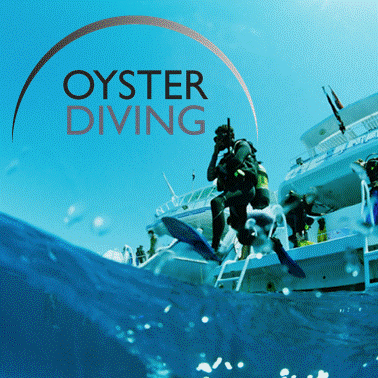 Oyster Diving Club Annual Membership - Oyster Diving Equipment